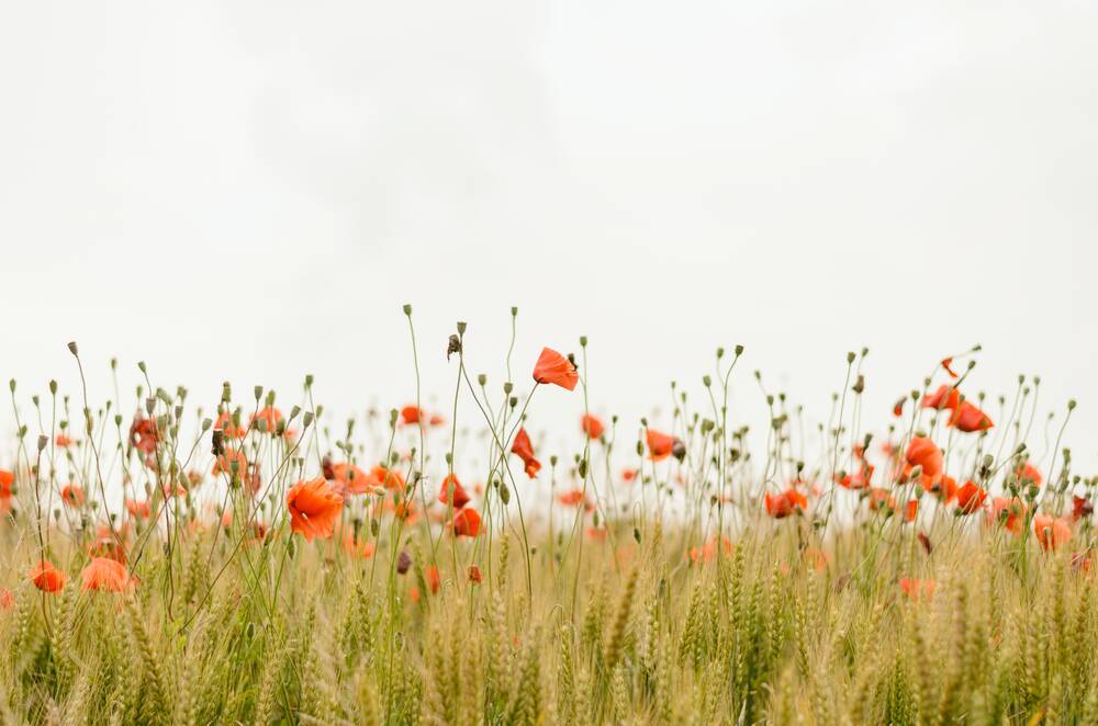 Wochenendarrangement