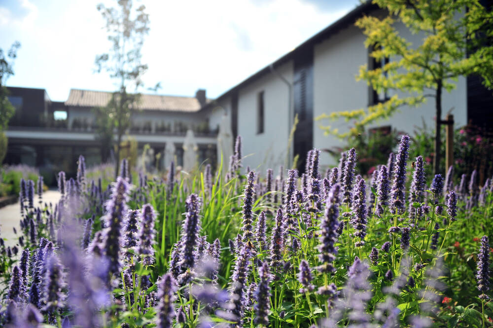 Wellness-Arrangement "Entspannen im Grünen"